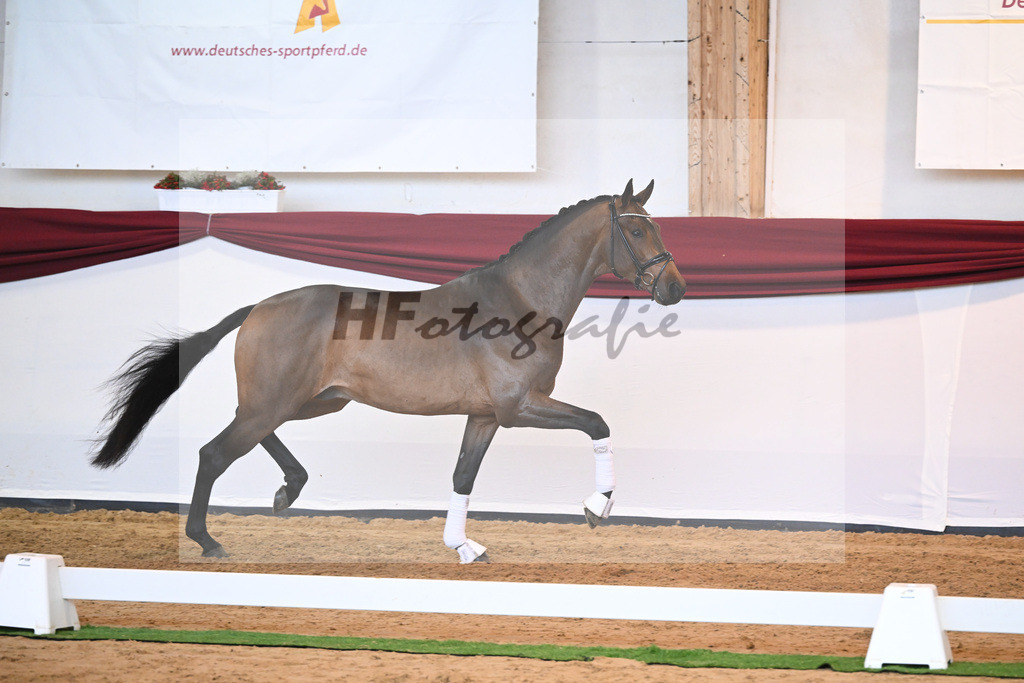 Kat-Nr. 39 v. Jovian_Dahlhoff_66221003 | hf-fotografie - Realisiert mit Pictrs.com