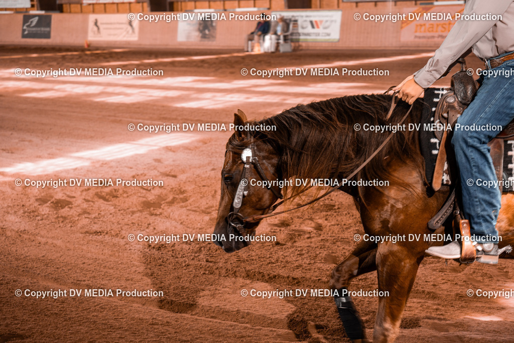 NE200948 | dv-media-shop - Realisiert mit Pictrs.com