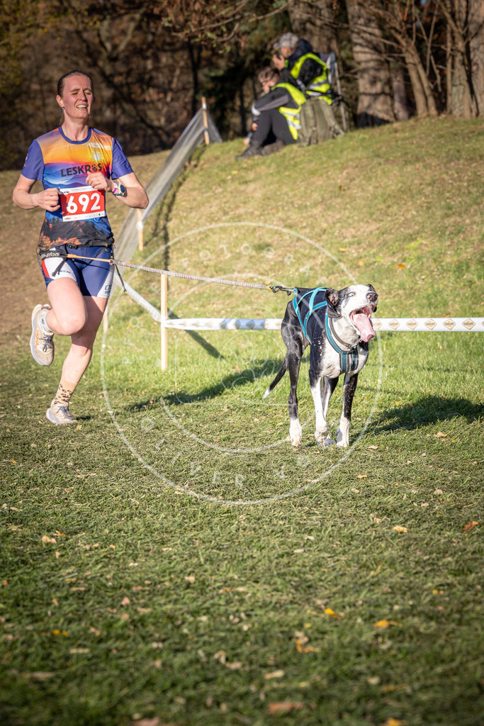 CaniXpix_0L8A9376 | Hundefotografie, Tierfotograf, Pfotenfotografie, Fotoshooting Hund, Hunde Portrait, Hundesport, Hundeportraits, Heideshooting, Hunde, Sportfotograf, Hundefotograf, Turnierhundsport, THS,  - Realisiert mit Pictrs.com