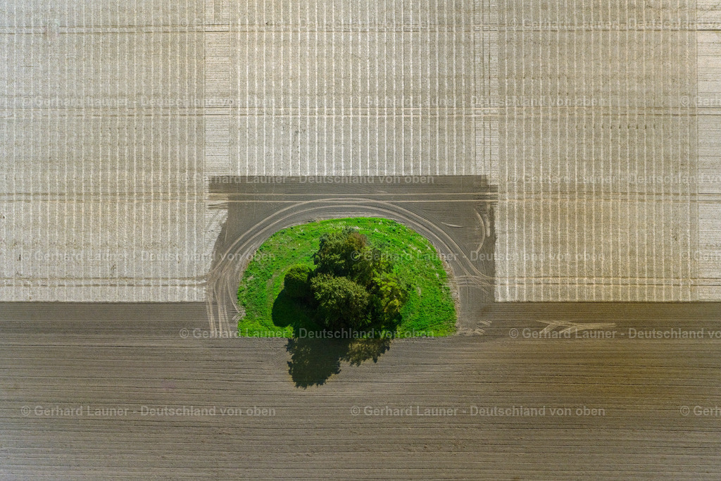 4062159 | INSEL POEL 08.09.2021 Senkrecht- Luftbild aus der Satelliten- Perspektive vom Baum- Insel auf einem bearbeiteten und umgepflügten Feld auf der Insel Poel im Bundesland Mecklenburg-Vorpommern, Deutschland. // Vertical aerial view from the satellite perspective of the island of trees in a worked and plowed up field in island Insel Poel in the state Mecklenburg - Western Pomerania, Germany. Foto: Gerhard Launer
