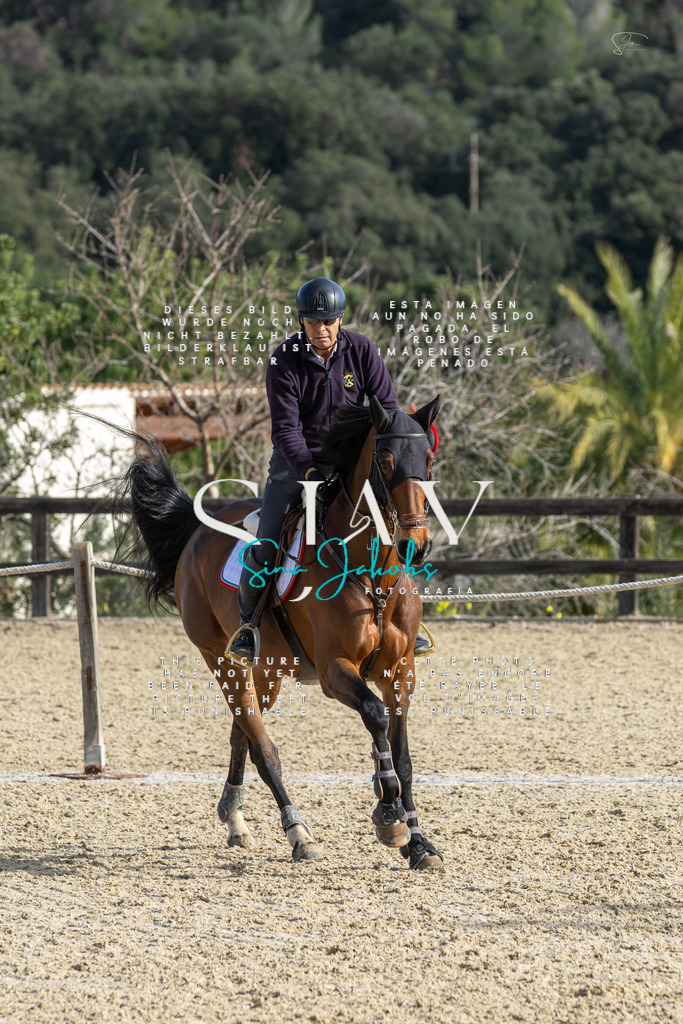 IMG_4656 | s-jay-photography - Realisiert mit Pictrs.com