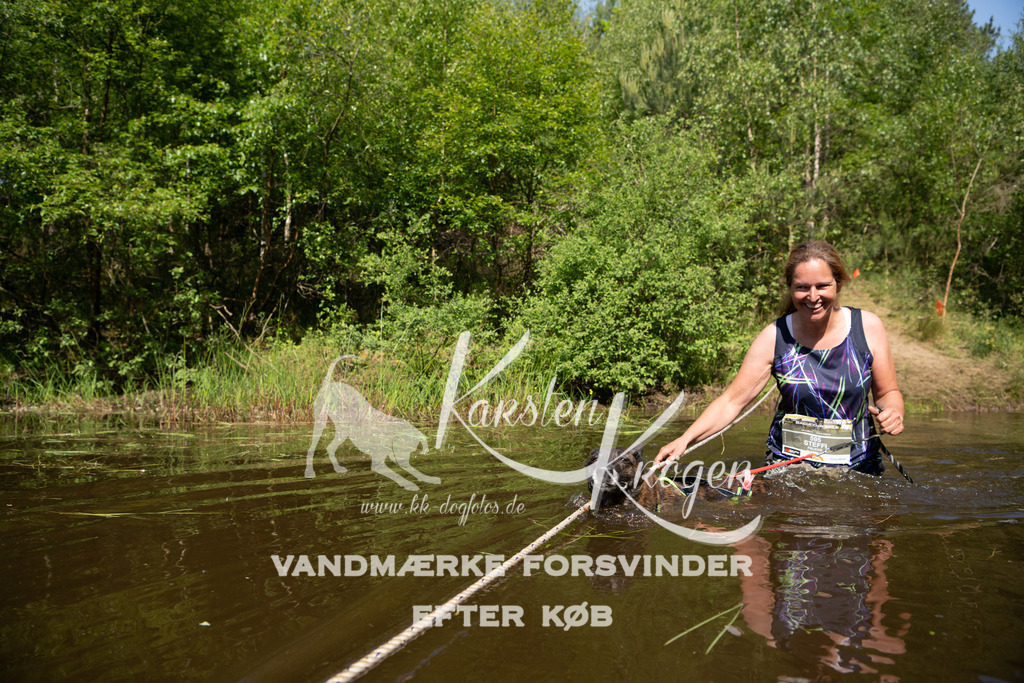 1013DKK990138 | kk-dogfotos