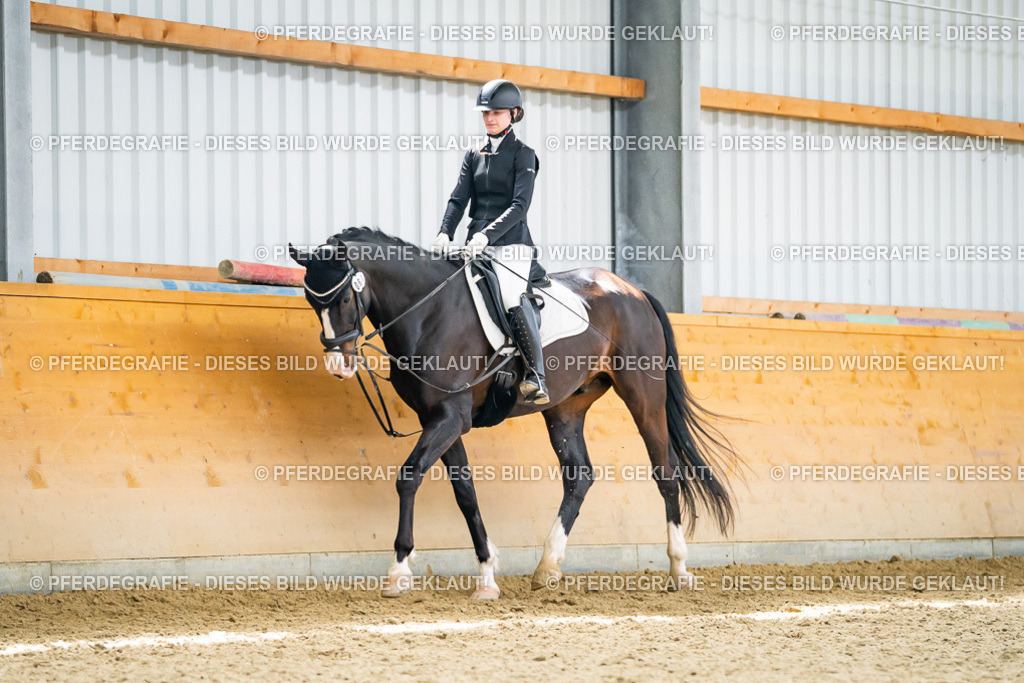 DSC04173 | Pferdegrafie