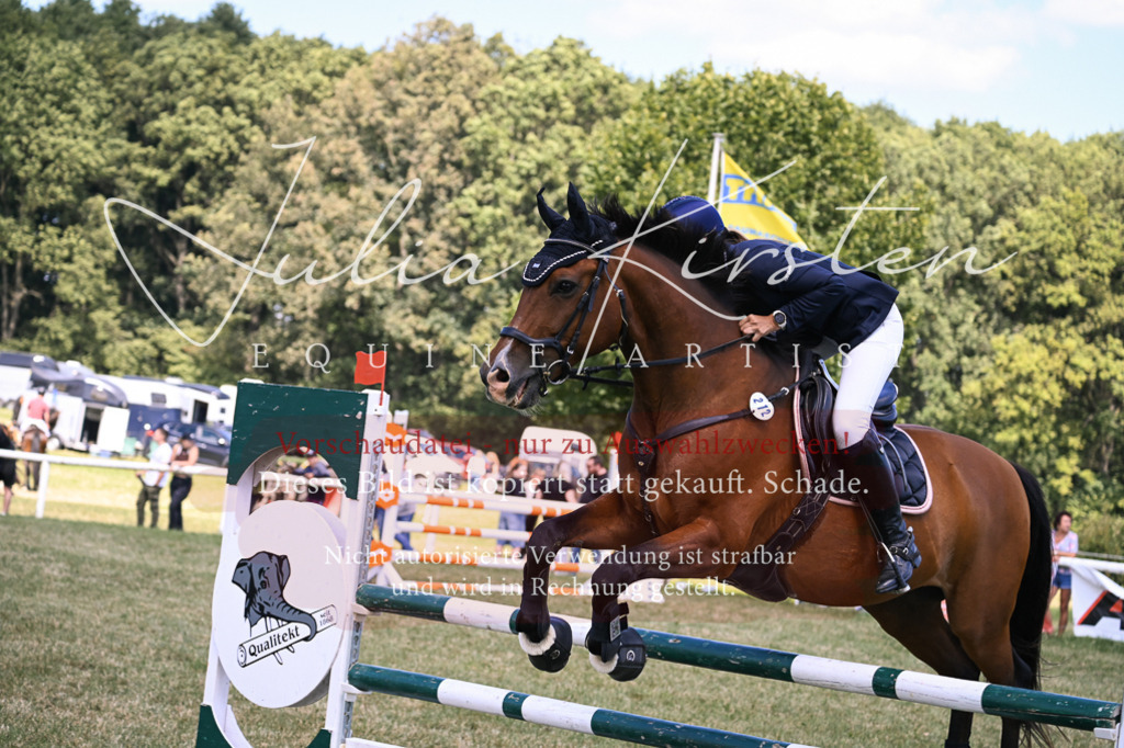 DSC_0327 | Pferde- und Turnierfotografie in Westsachsen. Pferdeportraits, Auftragszeichnungen und intuitive Kunst.