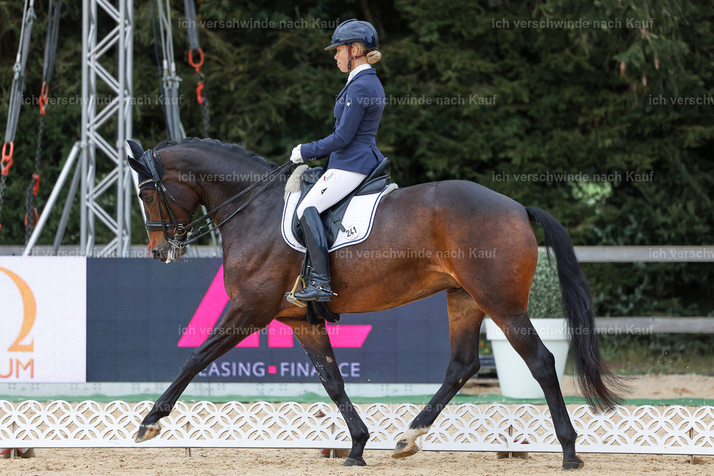 3-241-Dressur M_-StoibPH-2334 | working equitationturnier fotograf videograf stoibphotography marixx film working equitation deutschland reitsport turnierfotografie eventfotografie equestrian events