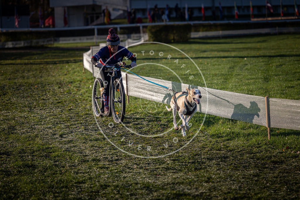 CaniXpix_0L8A3438 | Hundefotografie, Tierfotograf, Pfotenfotografie, Fotoshooting Hund, Hunde Portrait, Hundesport, Hundeportraits, Heideshooting, Hunde, Sportfotograf, Hundefotograf, Turnierhundsport, THS,  - Realisiert mit Pictrs.com