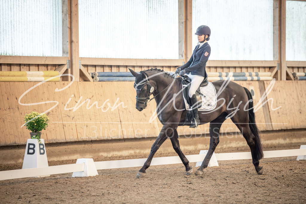 20251011-_3LI6476 | Tierfotografie Pferde, Hunde, Katzen, Haustiere.
Turnierfotografie Reitturniere, Reiten, Springreiten, Dressur in Hanau, dem Main-Kinzig-Kreis und dem Rhein-Main- Gebiet um Frankfurt