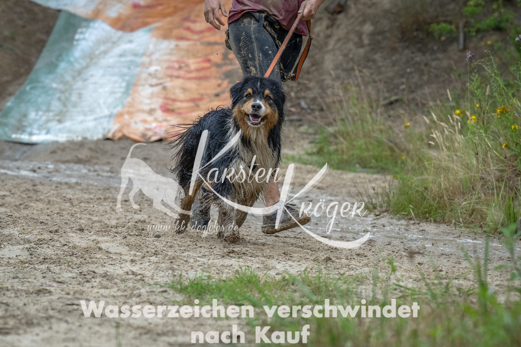 1448_ZZ92570-Bearbeitet | kk-dogfotos