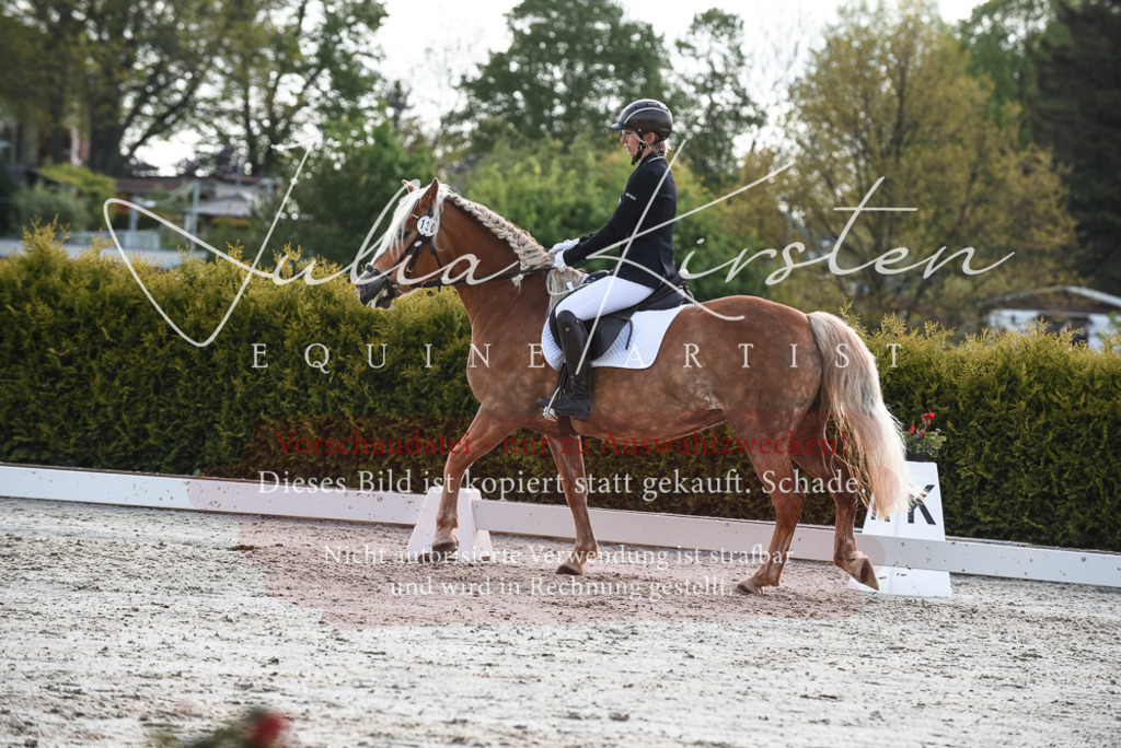 20230518_JK-Röhrsdorf-09-1604 | Pferde- und Turnierfotografie in Westsachsen. Pferdeportraits, Auftragszeichnungen und intuitive Kunst.