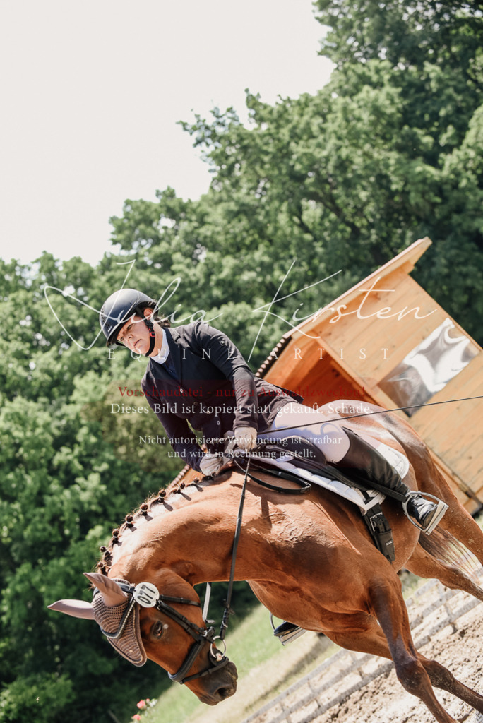 DSC_1298 | Pferde- und Turnierfotografie in Westsachsen. Pferdeportraits, Auftragszeichnungen und intuitive Kunst.