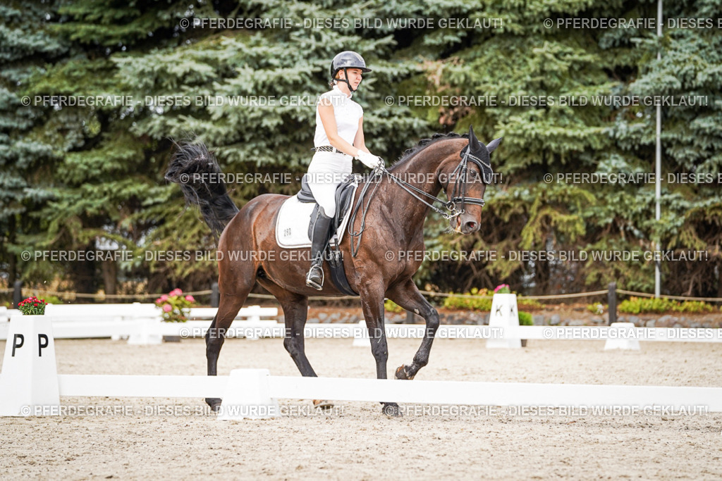 DSC06625 | Pferdegrafie