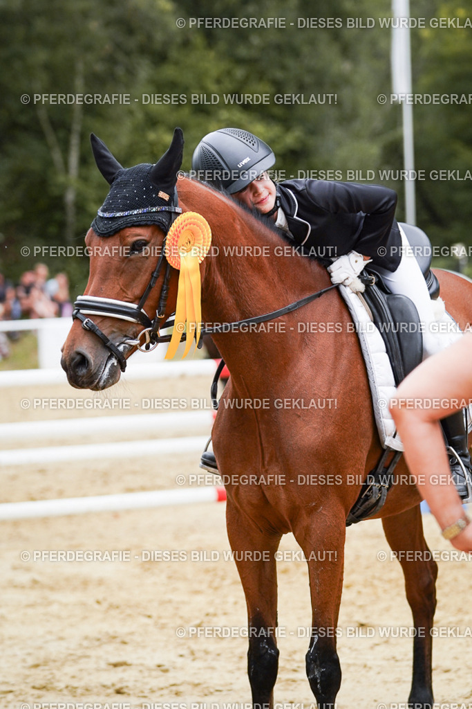 DSC06074 | Pferdegrafie