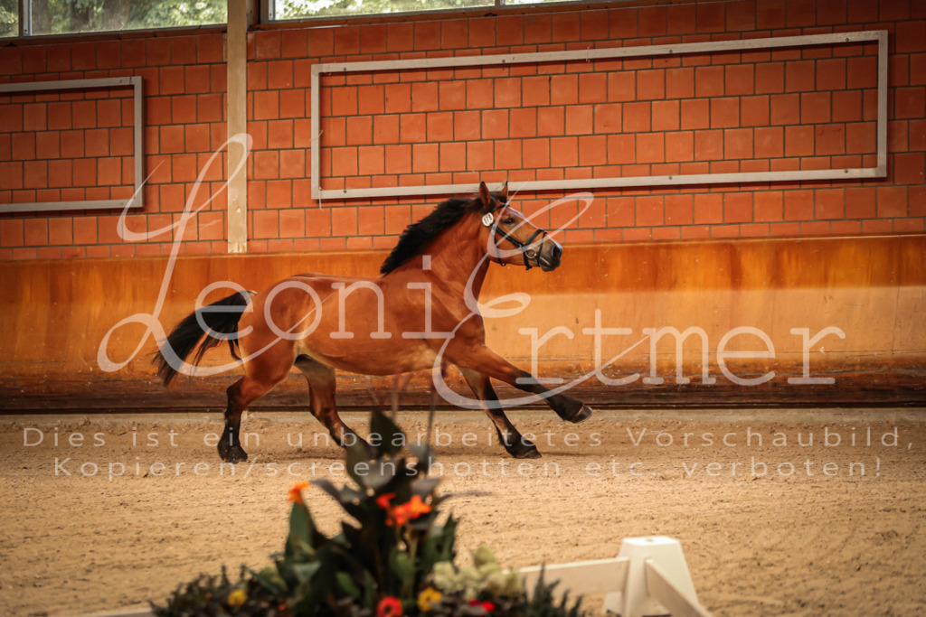 SaFL00034 | Leoni Ertmer Photography - Realisiert mit Pictrs.com