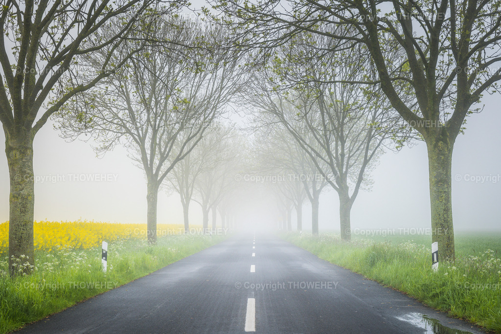 _1035563 | thowehey - Realisiert mit Pictrs.com