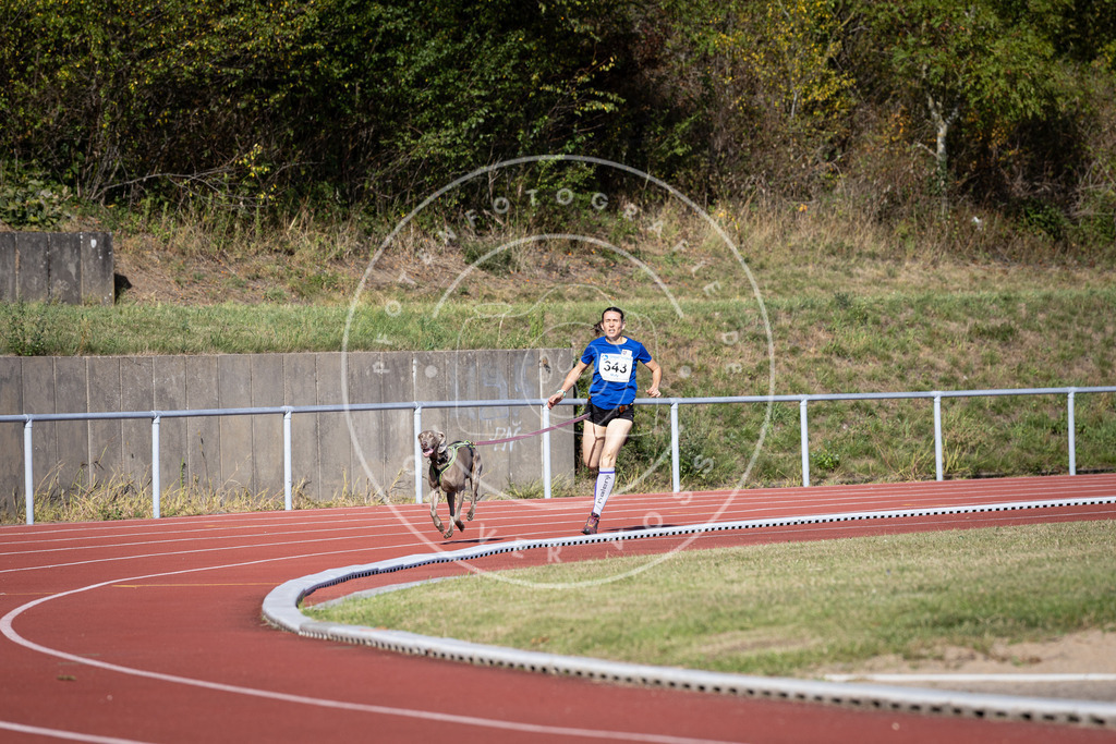 Pfotenfotografie_DV3A8389 | Hundefotografie, Tierfotograf, Pfotenfotografie, Fotoshooting Hund, Hunde Portrait, Hundesport, Hundeportraits, Heideshooting, Hunde, Sportfotograf, Hundefotograf, Turnierhundsport, THS,  - Realisiert mit Pictrs.com