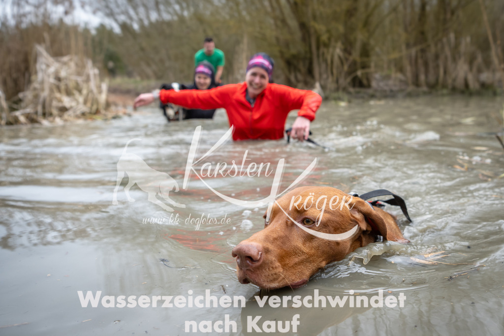1418_ZZ98065 | kk-dogfotos