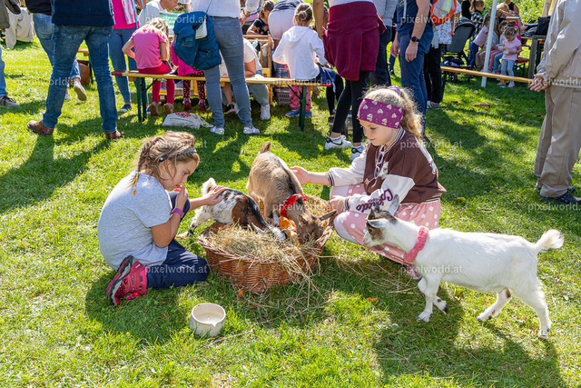 Kulinarischer Herbstreigen am Maltschacher See | Bildershop von pixelworld.at - Realisiert mit Pictrs.com