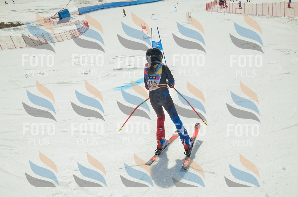 _ELE4353 | holidayphoto