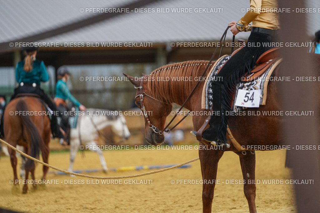 DSC03359 | Pferdegrafie