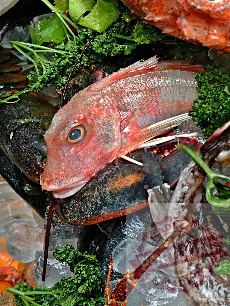 Fresh seafood assortment presenting red fish and lobster on ice | Fresh seafood, including a red snapper and lobsters, displayed on ice with parsley - Realisiert mit Pictrs.com