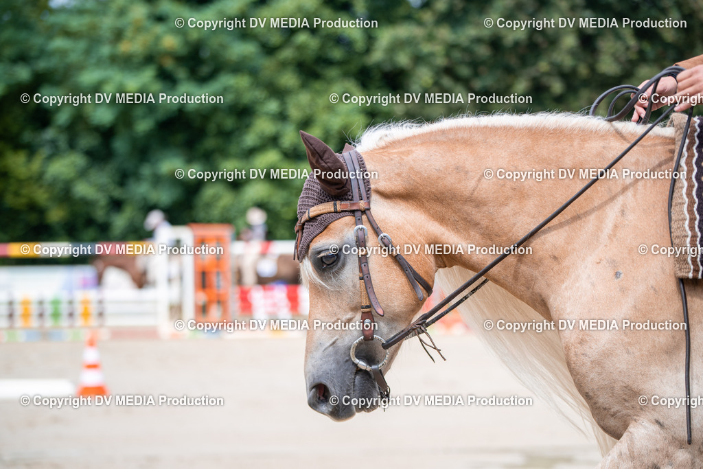 ZS2_3885 | dv-media-shop - Realisiert mit Pictrs.com