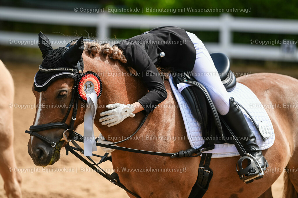 20230716_10-3_Reiter-WB Schritt - Trab - Galopp_0238 | equistock