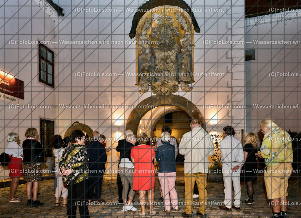 ALP3982_Jeanne de Ferrette_Maria Thron | (C)FotoLois.com, Alois Spandl, 700stes Hochzeitsjubiläum - Albrecht II. mit Johanna von Pfirt in Thann (FR) im März 2024. Empfang des Organistionskommitees aus der Region Ferrette (Pfirt)/Thann aus dem Elsass mit Empfang durch die Stadtgemeinde und Bezirkshauptmannschaft Scheibbs im Schloss Scheibbs und anschließender Kranzniederlegung in der Kartausenkirche über der Krypta des Gründerehepaares durch Mitglieder des Templer Ordens im Beisein von Mitgliedern der Goldhaubengruppen, Fr 22. September 2023.