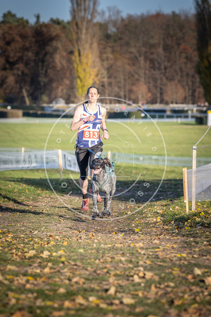 CaniXpix_DV3A3070 | Hundefotografie, Tierfotograf, Pfotenfotografie, Fotoshooting Hund, Hunde Portrait, Hundesport, Hundeportraits, Heideshooting, Hunde, Sportfotograf, Hundefotograf, Turnierhundsport, THS,  - Realisiert mit Pictrs.com