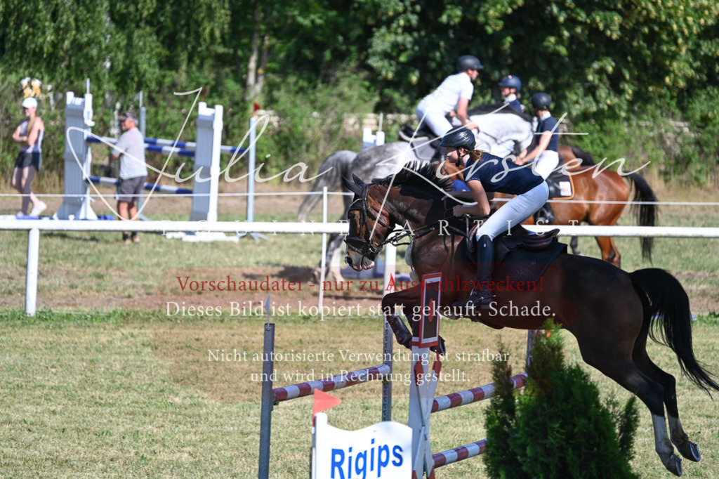 DSC_2026 | Pferde- und Turnierfotografie in Westsachsen. Pferdeportraits, Auftragszeichnungen und intuitive Kunst.