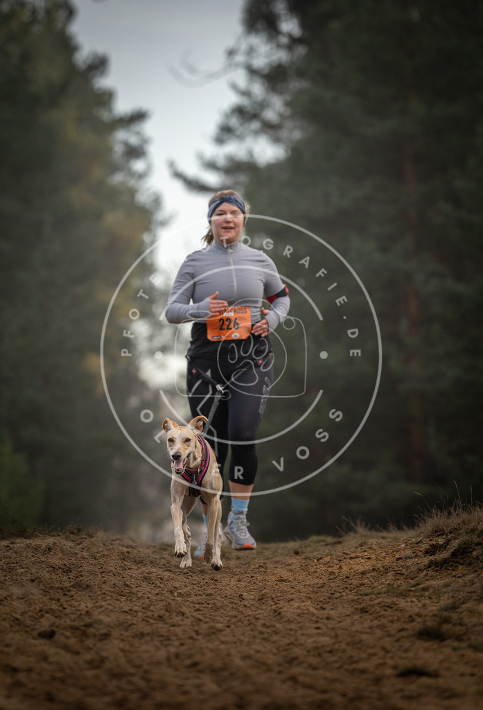 Pfotenfotografie_DV3A5475 | Hundefotografie, Tierfotograf, Pfotenfotografie, Fotoshooting Hund, Hunde Portrait, Hundesport, Hundeportraits, Heideshooting, Hunde, Sportfotograf, Hundefotograf, Turnierhundsport, THS,  - Realisiert mit Pictrs.com