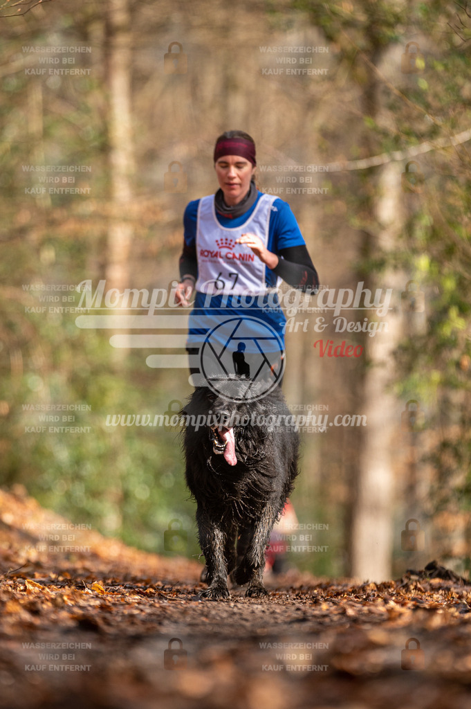 SPA_2023_DIM_CCL-173 | PayLife