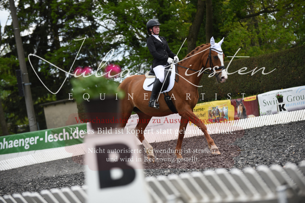 20230513_JK-Röhrsdorf-16-152 | Pferde- und Turnierfotografie in Westsachsen. Pferdeportraits, Auftragszeichnungen und intuitive Kunst.