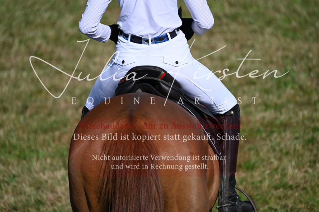 DSC_2314 | Pferde- und Turnierfotografie in Westsachsen. Pferdeportraits, Auftragszeichnungen und intuitive Kunst.