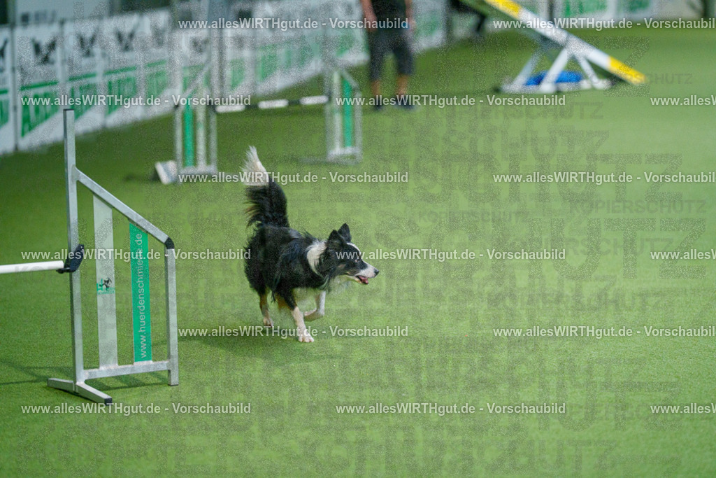 @allesWIRTHgut_Tierfotografie - www.allesWIRTHgut.de - 2604250817-7R506091 | Professionelle Tierfotografie in Mönchengladbach von Daniel Wirth (allesWIRTHgut). Liebevolle & natürliche Bilder von Hunden & Katzen für unvergessliche Erinnerungen.