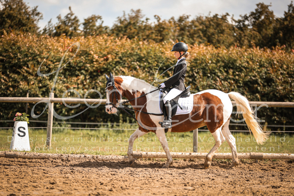 02.SoDrWB00264 | Leoni Ertmer Photography - Realisiert mit Pictrs.com