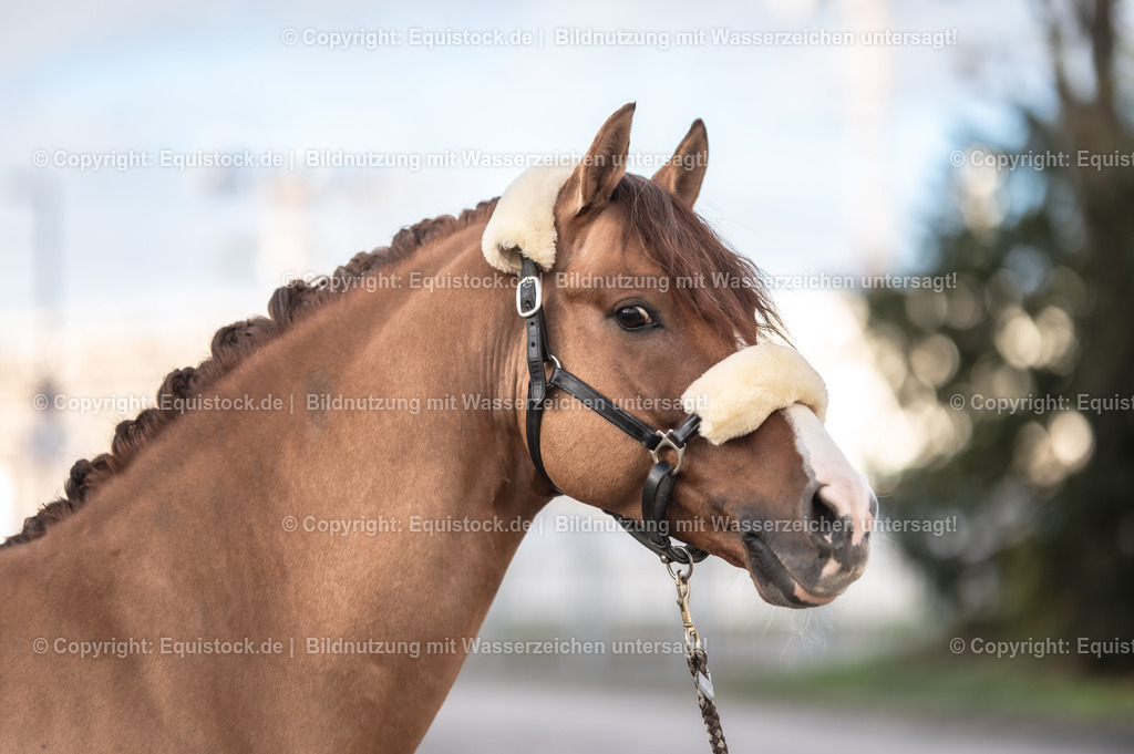 20231115_Ann-Cathrin-Rieg_und_Derrick_0021_TOMsPiC | Foto: Thomas Hartig