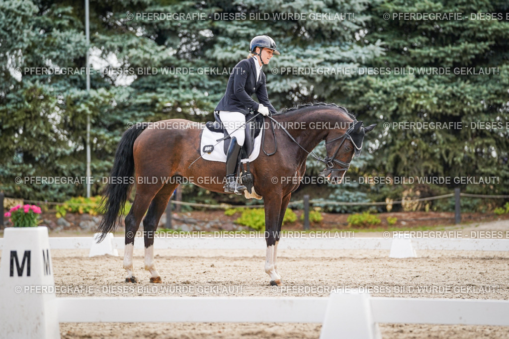 DSC01715 | Pferdegrafie