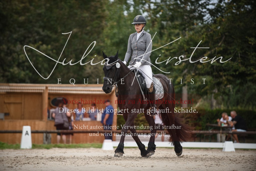DSC_8305 | Pferde- und Turnierfotografie in Westsachsen. Pferdeportraits, Auftragszeichnungen und intuitive Kunst.