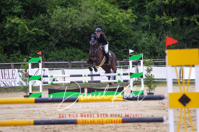 DKP41874 | Turniersportfotografie; Pferdefotografie; Dressurfotografie