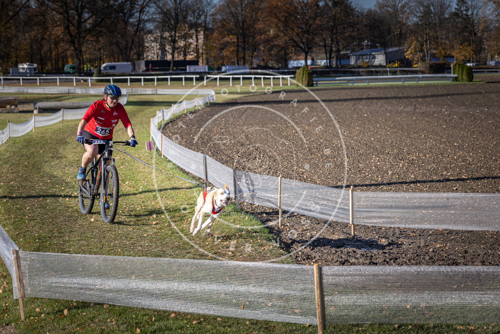 CaniXpix_DV3A5022 | Hundefotografie, Tierfotograf, Pfotenfotografie, Fotoshooting Hund, Hunde Portrait, Hundesport, Hundeportraits, Heideshooting, Hunde, Sportfotograf, Hundefotograf, Turnierhundsport, THS,  - Realisiert mit Pictrs.com