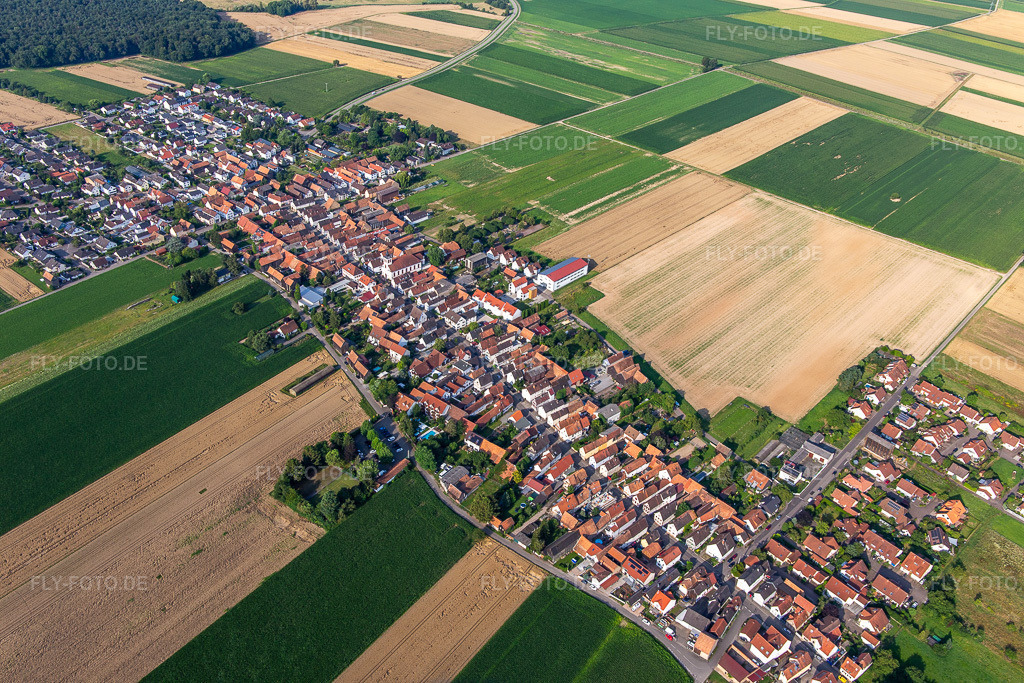 Luftbild: Ortsansicht von Nordosten im Ortsteil Hayna in Herxheim im Bundesland Rheinland-Pfalz in Deutschland. Foto: IMG_142889.jpg vom 19.07.2024 durch Werner Riehm/FLY-FOTO.de