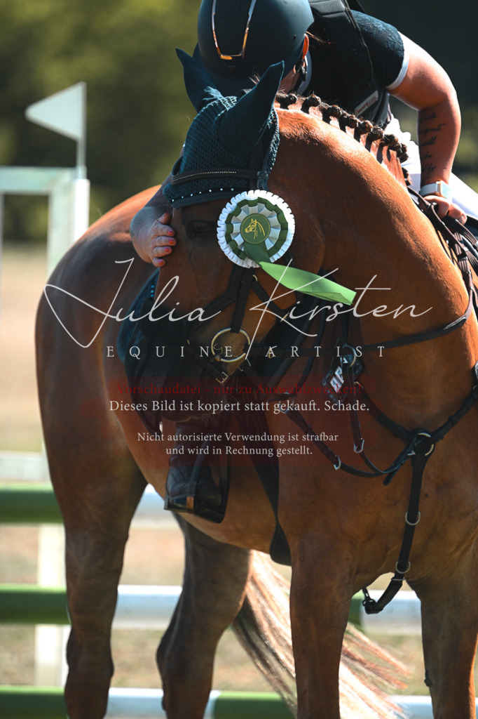 DSC_8442 | Pferde- und Turnierfotografie in Westsachsen. Pferdeportraits, Auftragszeichnungen und intuitive Kunst.