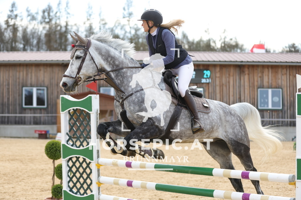0P6A8517 | Willkommen bei Brunnmayr - Design & Fotografie – Ihrem Spezialisten für Reitturniere und Pferdeveranstaltungen in Oberösterreich, Salzburg und Bayern! Seit über 17 Jahren sind wir leidenschaftlich dabei.