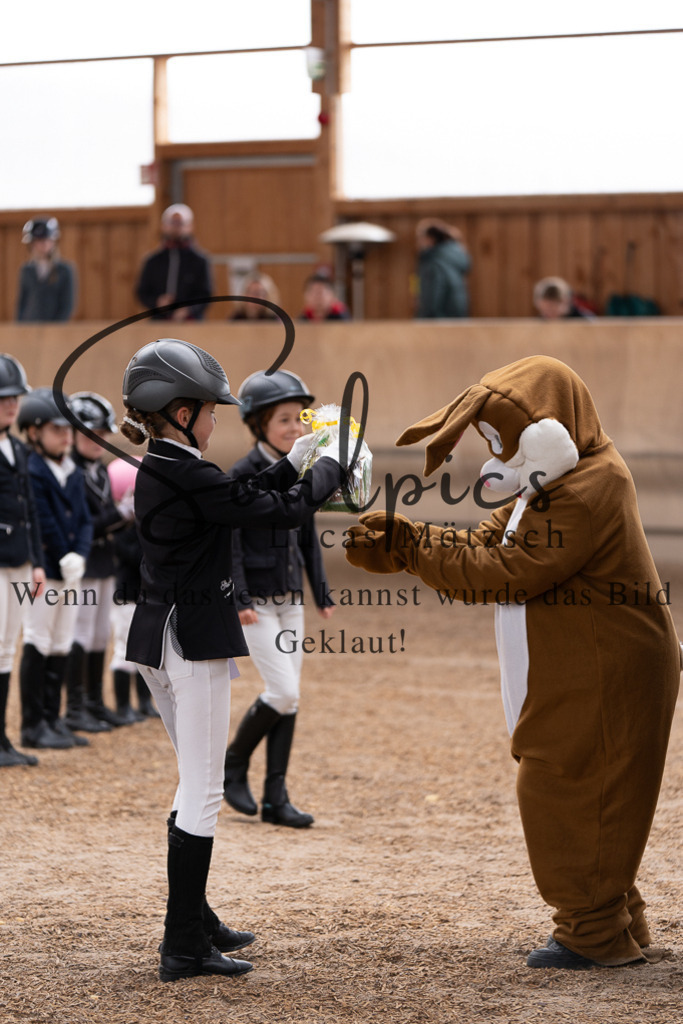 A7507324 | Pferdefotograf