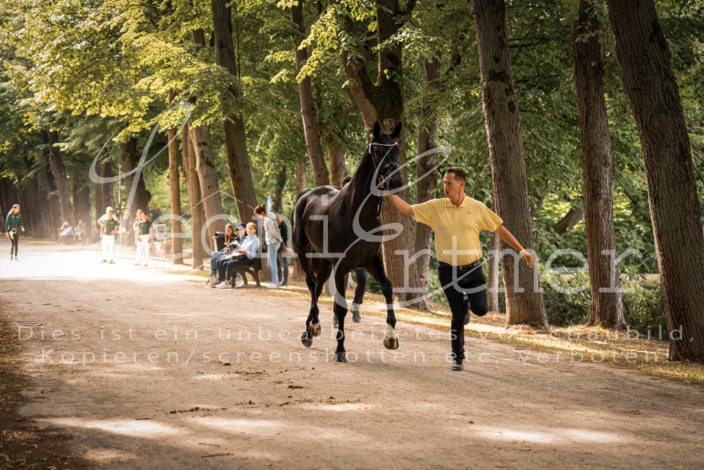 FrPfM00059 | Leoni Ertmer Photography - Realisiert mit Pictrs.com