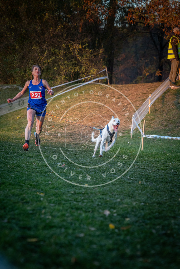 CaniXpix_0L8A2051 | Hundefotografie, Tierfotograf, Pfotenfotografie, Fotoshooting Hund, Hunde Portrait, Hundesport, Hundeportraits, Heideshooting, Hunde, Sportfotograf, Hundefotograf, Turnierhundsport, THS,  - Realisiert mit Pictrs.com