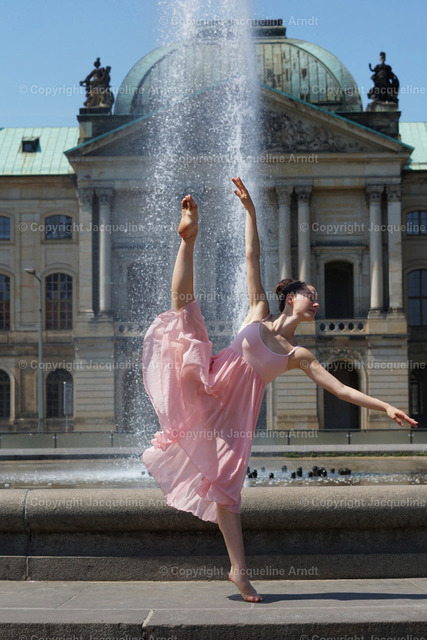 DSC00914 Kopie 2 | Fotografie Photography Dresden Photoshooting  Fotoshooting Fotografin Dresdencity Bilder  Foto Dresdenvideos Kalender Postkarten Bilderdownload Portrait Hochzeitsfotografie Familienfotos Bewerbungsbilder Studiofotografie Fotograf Dresdenbilder Business - Realisiert mit Pictrs.com