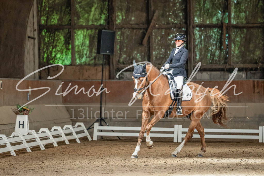 20250621-_3LI6531 | Tierfotografie Pferde, Hunde, Katzen, Haustiere.
Turnierfotografie Reitturniere, Reiten, Springreiten, Dressur in Hanau, dem Main-Kinzig-Kreis und dem Rhein-Main- Gebiet um Frankfurt