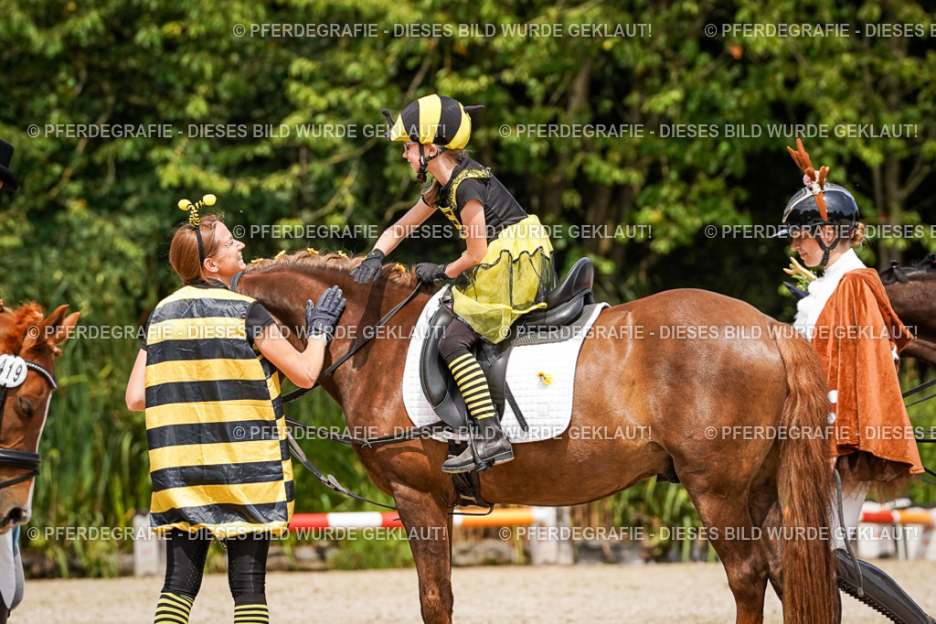 DSC03160 | Pferdegrafie