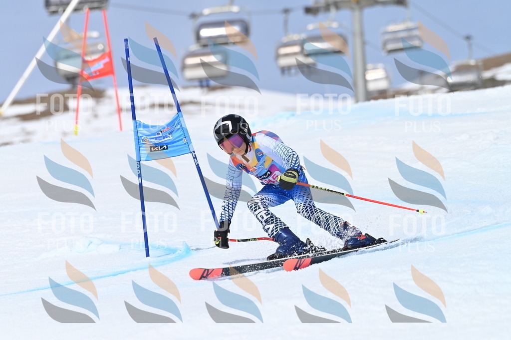 BGV_3545 | holidayphoto